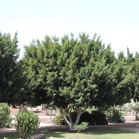 Apartamento Bungalow Del Sol Maspalomas *