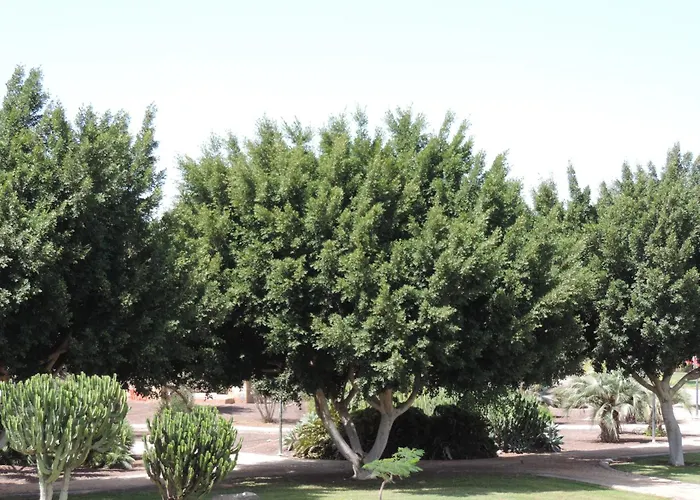 Appartamento Bungalow Del Sol Maspalomas *